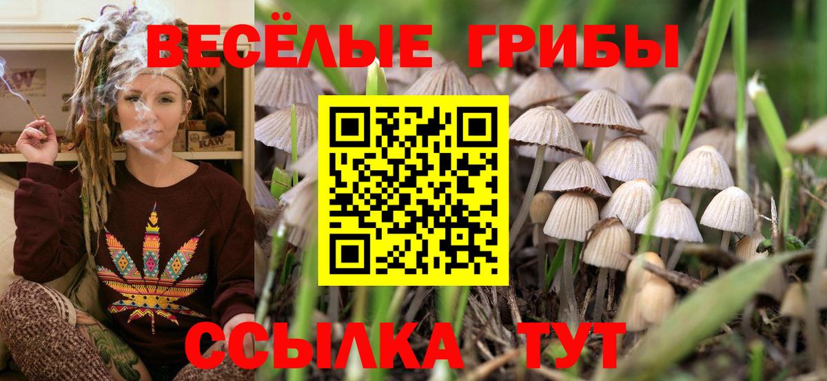 Псилоцибиновые грибы GOLDEN TEACHER Санкт-Петербург