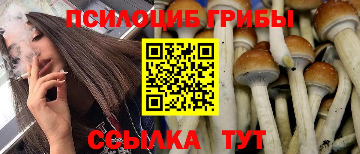 закладки  Галлюциногенные грибы мухоморы  Вход с VPN  Санкт-Петербург 